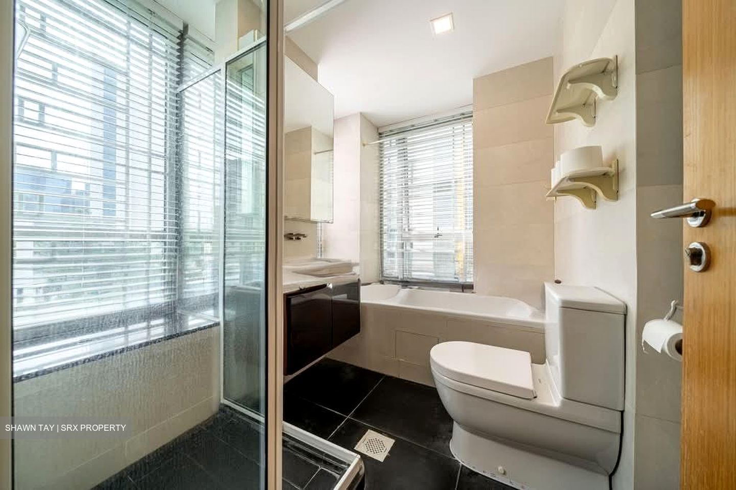 Iridium (D11), Apartment #574057091